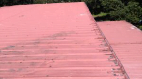 florida matel roof damage inspection